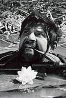 Películas de Bronius Babkauskas