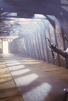 Películas de Brooke Theiss