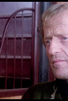 Películas de Bruno Corazzari