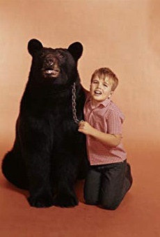 Películas de Bruno The Bear