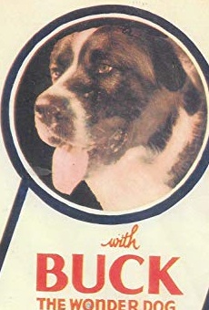 Películas de Buck (2)