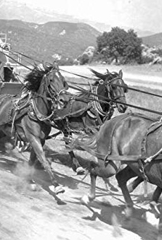 Películas de Bud McClure