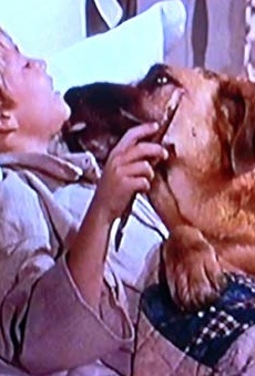 Películas de Buddy Foster Películas de Buddy Foster