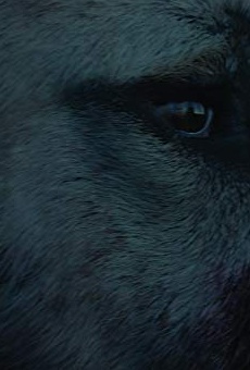 Películas de Cakir Películas de Cakir