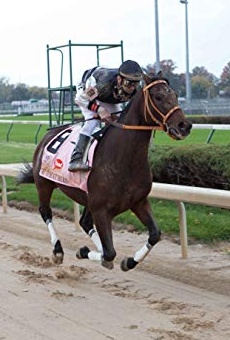 Películas de Calvin Borel Películas de Calvin Borel