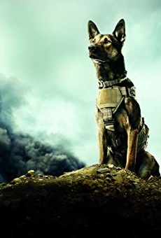 Películas de Carlos