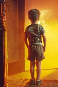 Películas de Cary Guffey