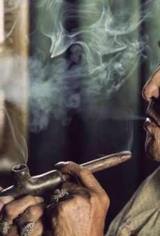 Películas de Casey Camp-Horinek