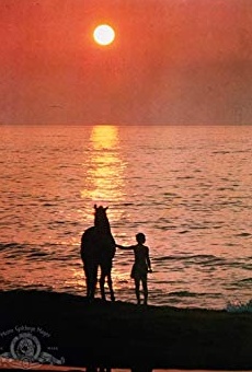 Películas de Cass-Olé