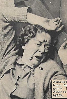 Películas de Catherine Finn