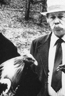 Películas de Charles Willeford