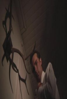 Películas de Christian Thomas Roaas