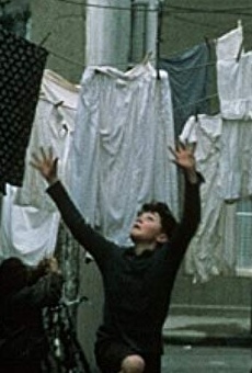 Películas de Ciaran Owens