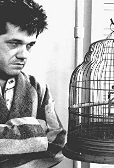 Películas de Claude Desjardins