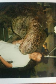 Películas de Craig J. McIntyre