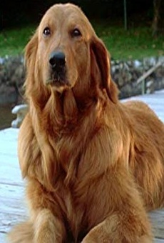 Películas de Crissy