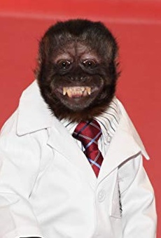 Películas de Crystal the Monkey