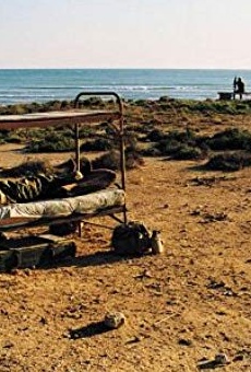 Películas de Cyrus Abidi