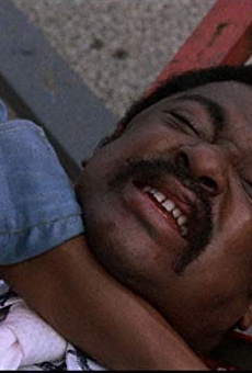 Películas de D'Urville Martin