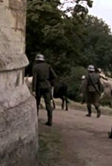 Películas de Daisy (2)