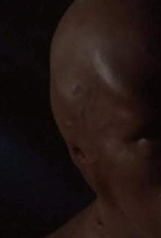 Películas de Dan Blom