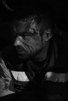 Películas de Dan Rovzar