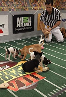 Películas de Dan Schachner