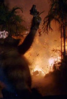 Películas de Daniel Rigney