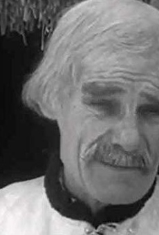 Películas de Daniil Ilchenko