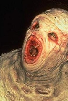 Películas de Darin Morgan