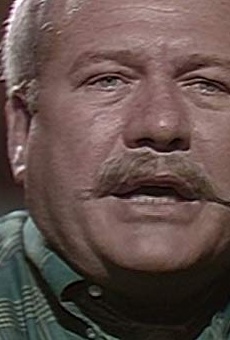 Películas de David Ford (2)