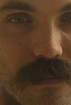 Películas de David Lowery