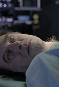 Películas de David Petersen