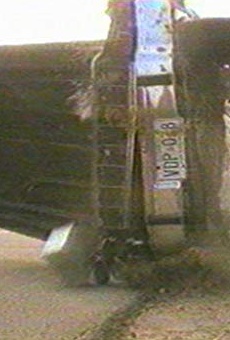 Películas de David Rigby