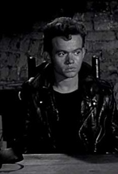 Películas de David Winters