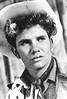 Películas de Dee Pollock