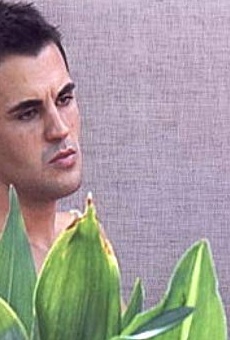 Películas de Denton Blane Everett