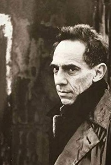 Películas de Derek Jarman