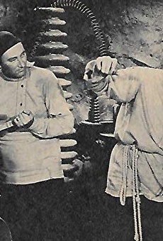 Películas de Dick Wessel