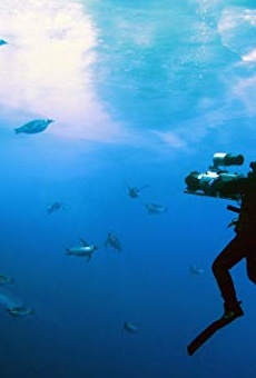 Películas de Didier Noirot