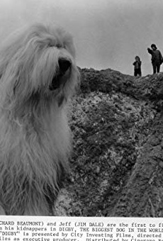 Películas de Digby