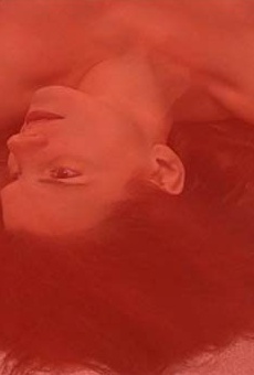 Películas de Dolly di Rosso