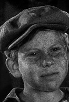 Películas de Donald Haines