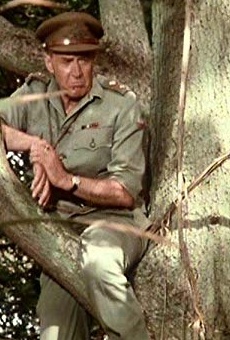 Películas de Donald Hewlett