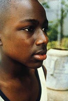 Películas de Donald Holden