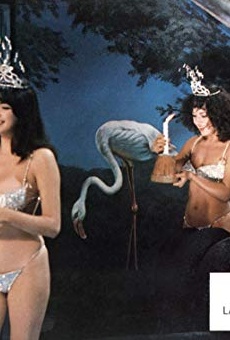 Películas de Donatella Damiani