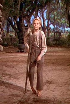 Películas de Donn Gift