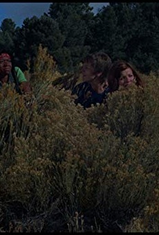 Películas de Donna Young