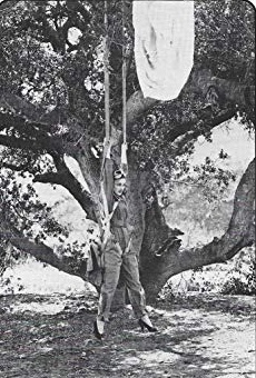 Películas de Dorothy Arnold