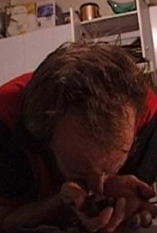 Películas de Doug Bayne Películas de Doug Bayne